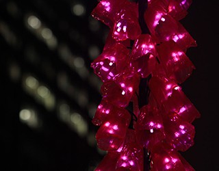 DIGITALIS - VIVID 2013 Installation